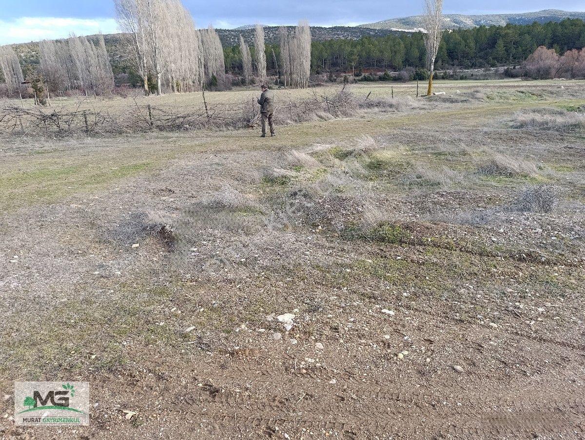 Kütahya Altıntaş Pınarcık Köyü Kelepir Arsa Tarla — fotoğraf 4