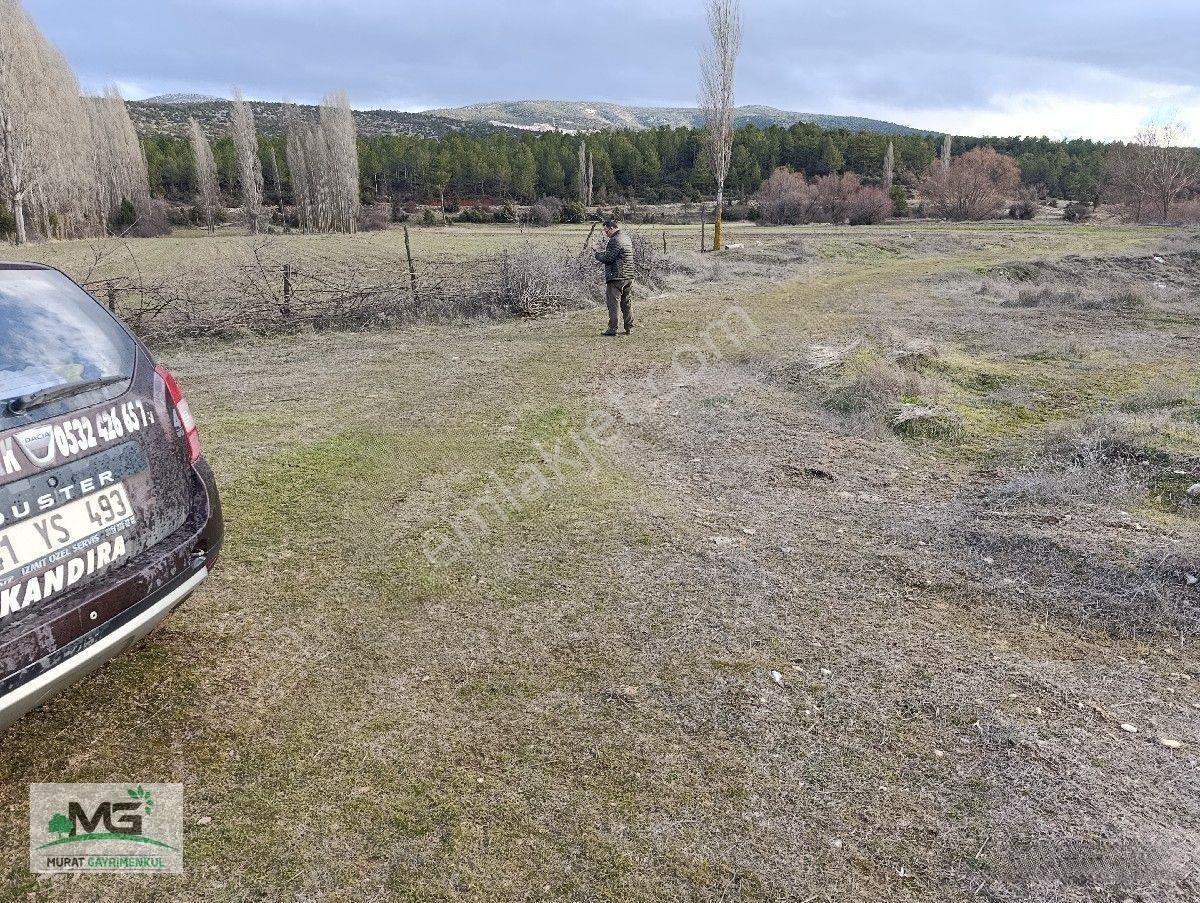 Kütahya Altıntaş Pınarcık Köyü Kelepir Arsa Tarla — fotoğraf 6