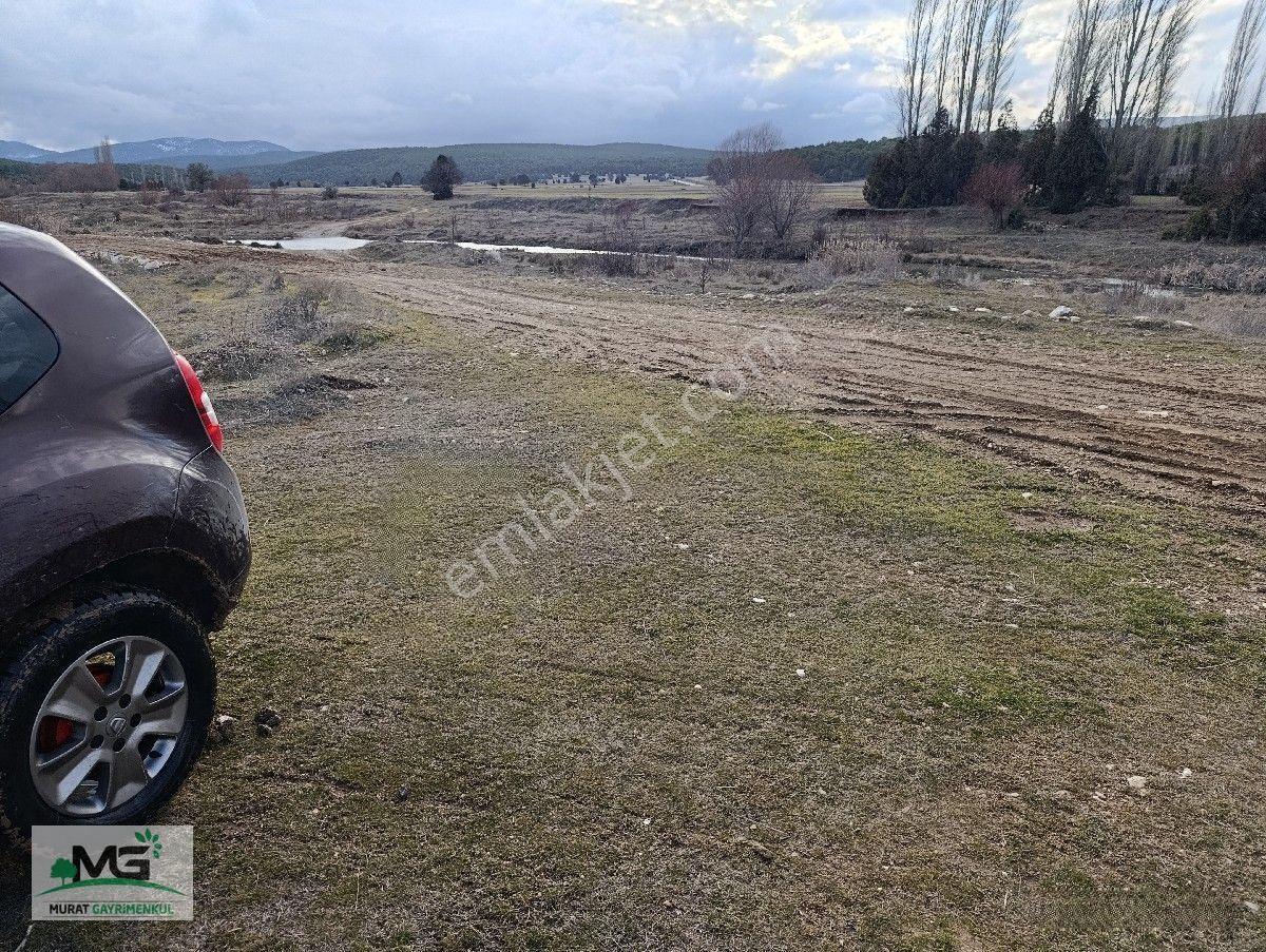 Kütahya Altıntaş Pınarcık Köyü Kelepir Arsa Tarla — fotoğraf 8