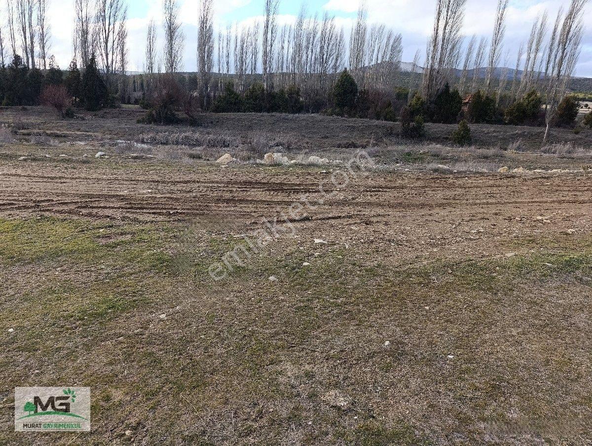 Kütahya Altıntaş Pınarcık Köyü Kelepir Arsa Tarla — fotoğraf 9