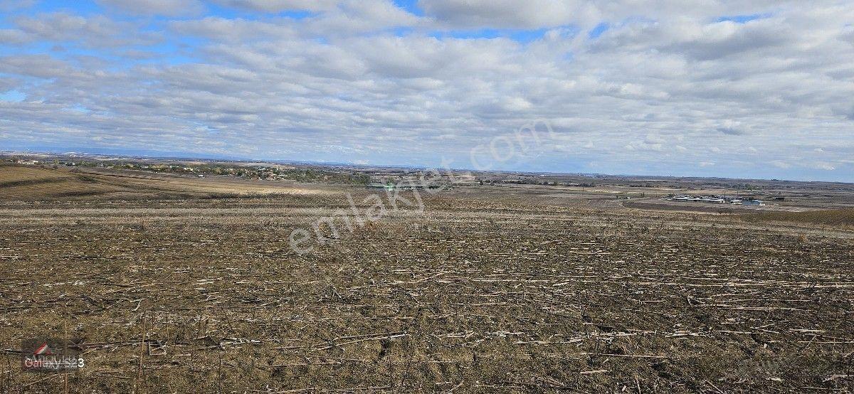 Lüleburgaz Ovacık Köyün'de 3.266 M2 Satılık Arazi — fotoğraf 3