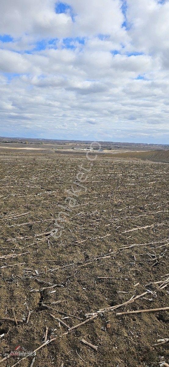 Lüleburgaz Ovacık Köyün'de 3.266 M2 Satılık Arazi — fotoğraf 5
