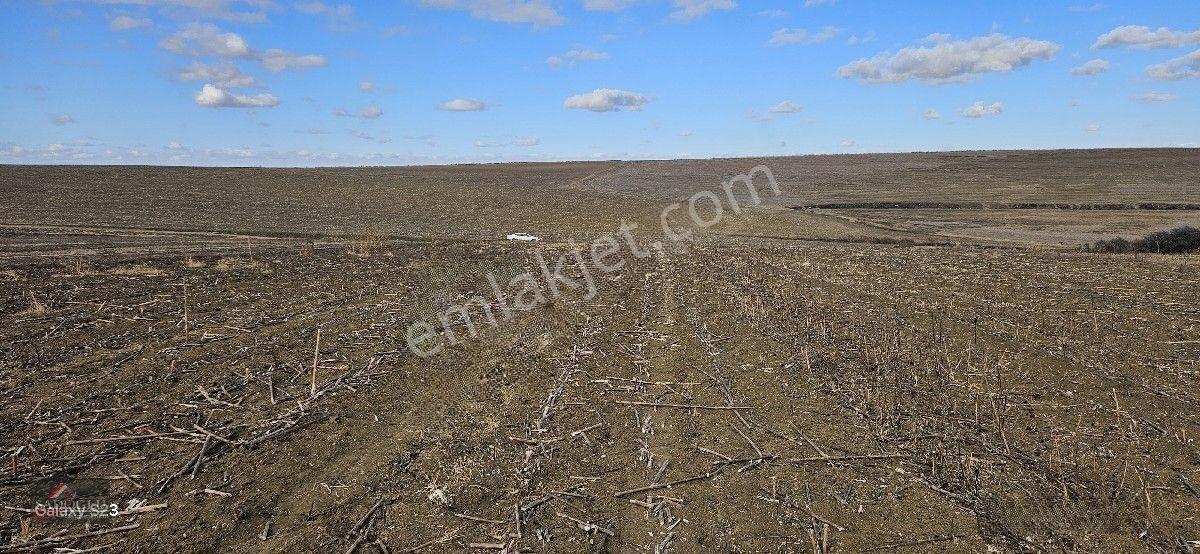 Lüleburgaz Ovacık Köyün'de 3.266 M2 Satılık Arazi — fotoğraf 6