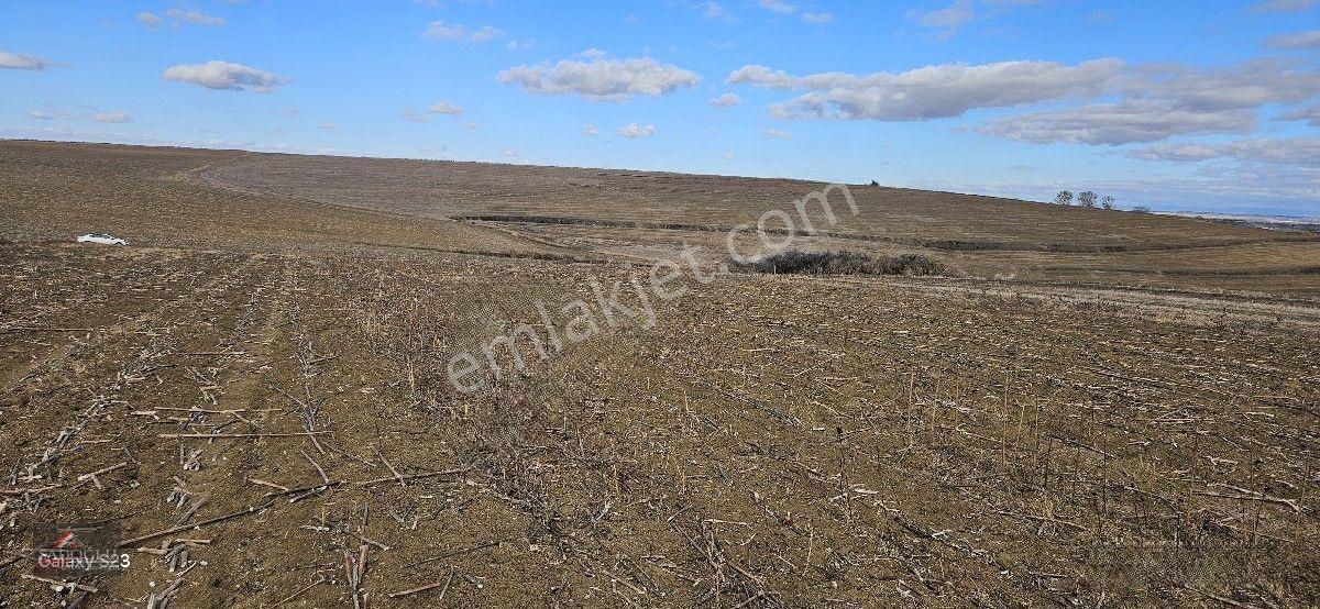 Lüleburgaz Ovacık Köyün'de 3.266 M2 Satılık Arazi — fotoğraf 7