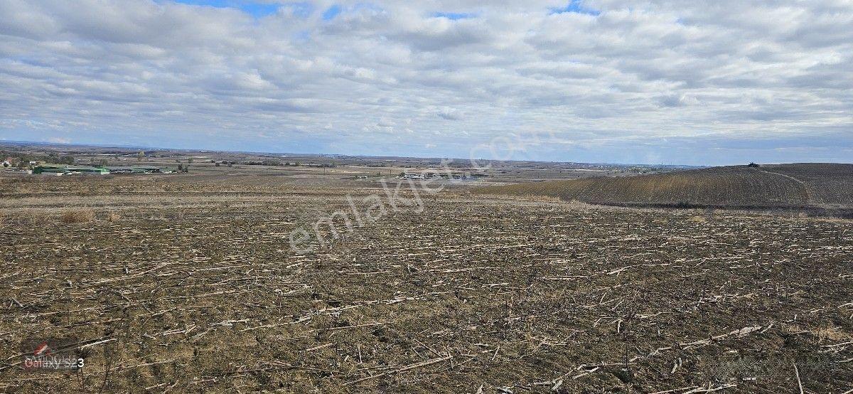 Lüleburgaz Ovacık Köyün'de 3.266 M2 Satılık Arazi — fotoğraf 9