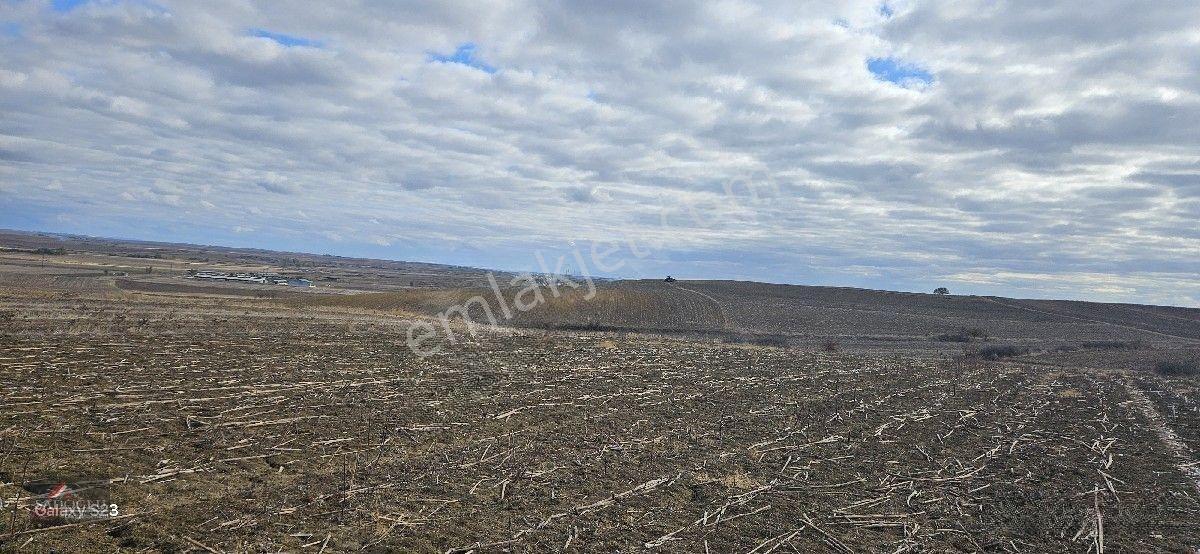Lüleburgaz Ovacık Köyün'de 3.266 M2 Satılık Arazi — fotoğraf 10