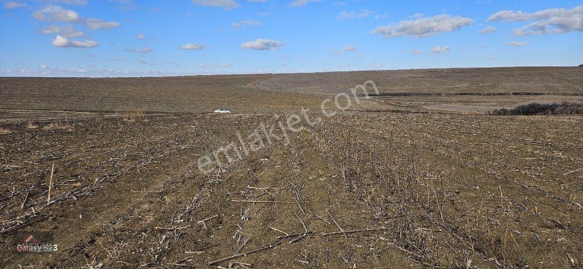 Lüleburgaz Ovacık Köyün'de 3.266 M2 Satılık Arazi — fotoğraf 11