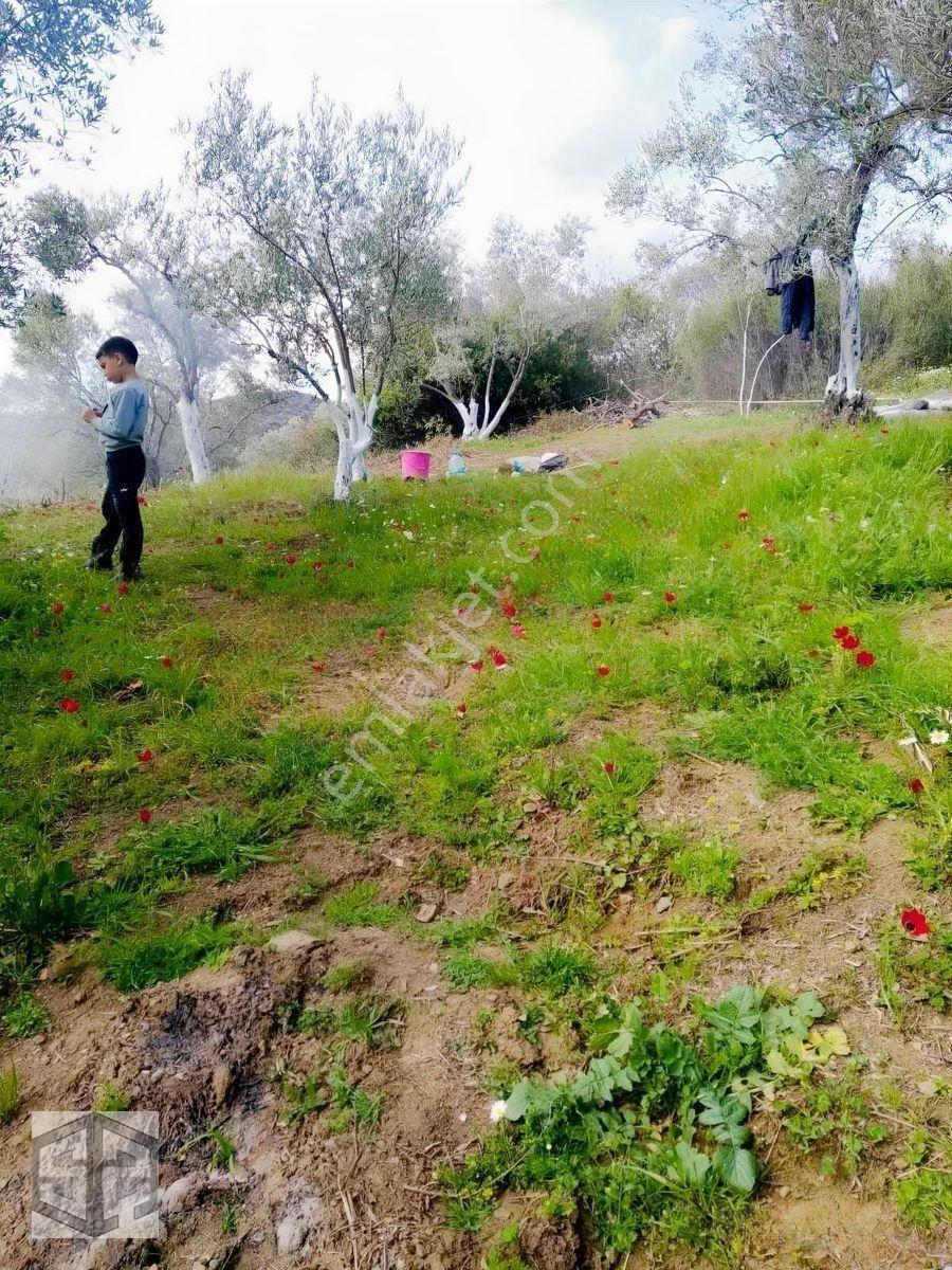 İzmir Selçuk Şirince Köyünde 427m2 Müstakil Parsel — fotoğraf 2