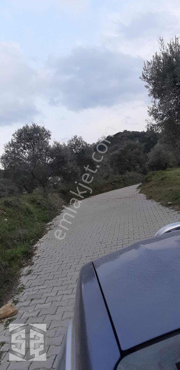 İzmir Selçuk Şirince Köyünde 427m2 Müstakil Parsel — fotoğraf 6