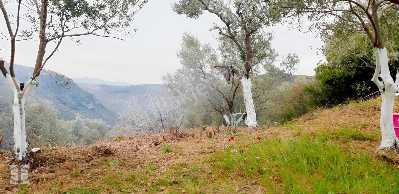 İzmir Selçuk Şirince Köyünde 427m2 Müstakil Parsel — fotoğraf 9