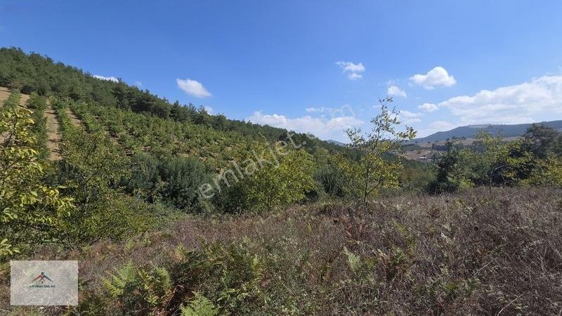 Kaymak Emlaktan Köy Merkezine Yakın Yatırımlık Satılık Arazi — fotoğraf 7