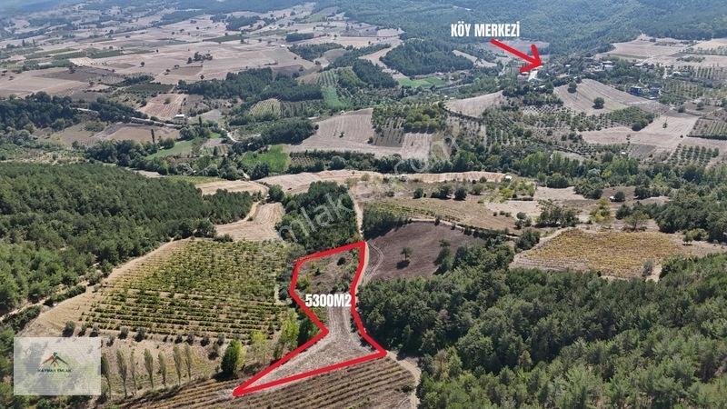 Kaymak Emlaktan Köy Merkezine Yakın Yatırımlık Satılık Arazi — fotoğraf 8