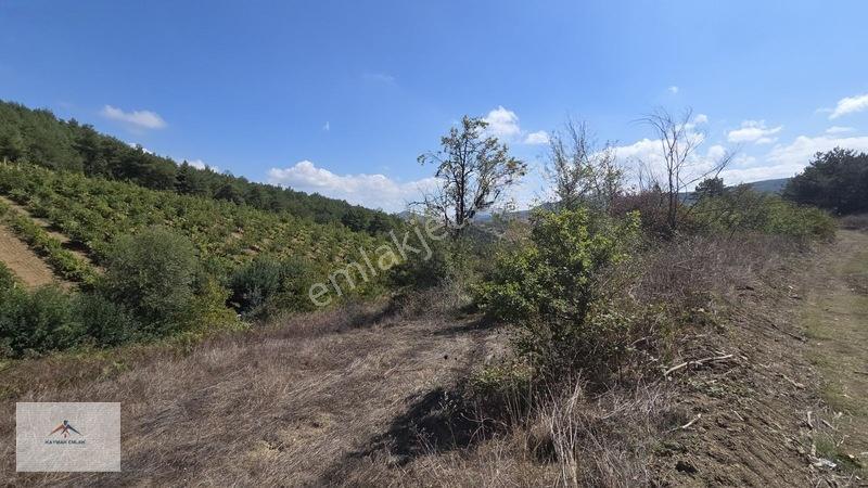 Kaymak Emlaktan Köy Merkezine Yakın Yatırımlık Satılık Arazi — fotoğraf 23