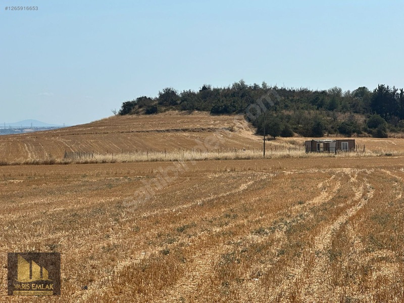 Saros Manzaralı Evreşede Yola Cepheli 1011 M2 Fırsat Arsası — fotoğraf 10