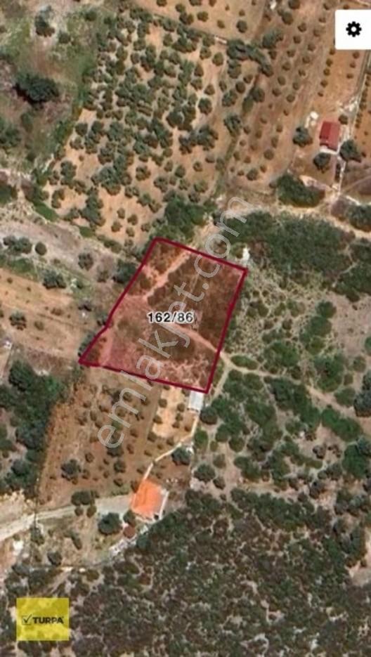 Urla Zeytineli'nde Satılık 3.254 M² Müstakil Tapulu Arazi — fotoğraf 2