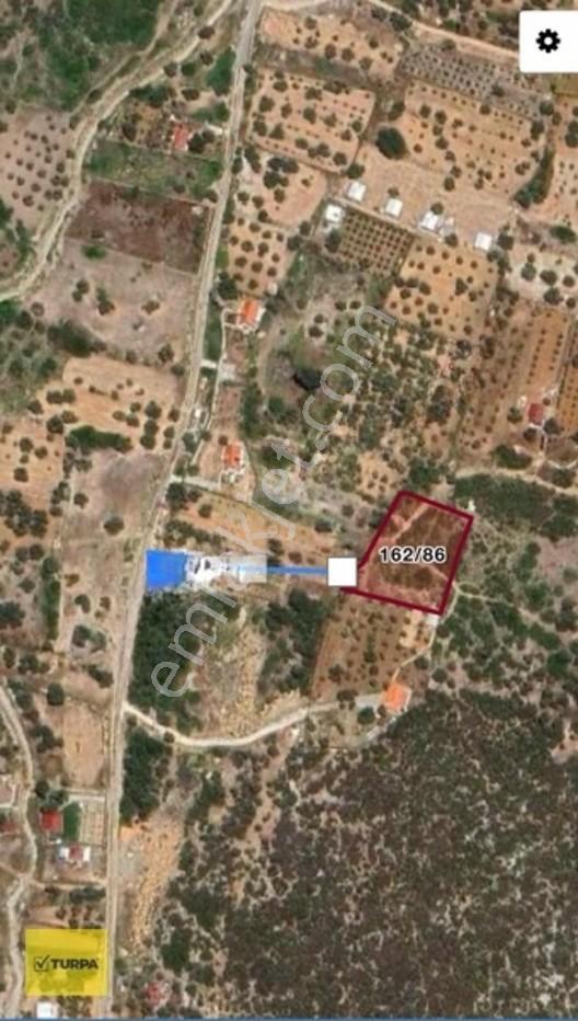 Urla Zeytineli'nde Satılık 3.254 M² Müstakil Tapulu Arazi — fotoğraf 3