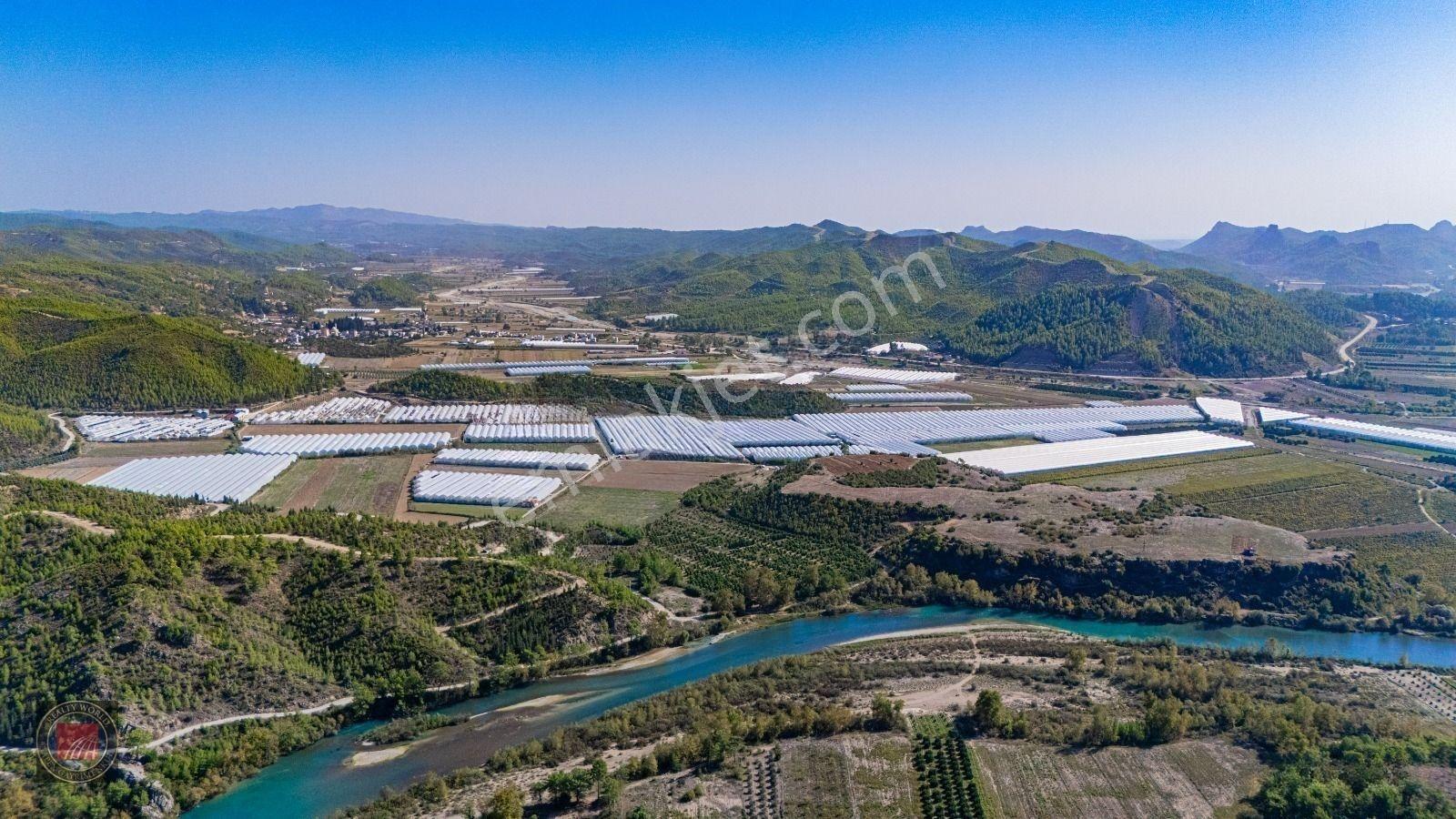 Sağırinde, Köprüçaya Cephe 38 Dönüm Satılık Avokado Bahçesi