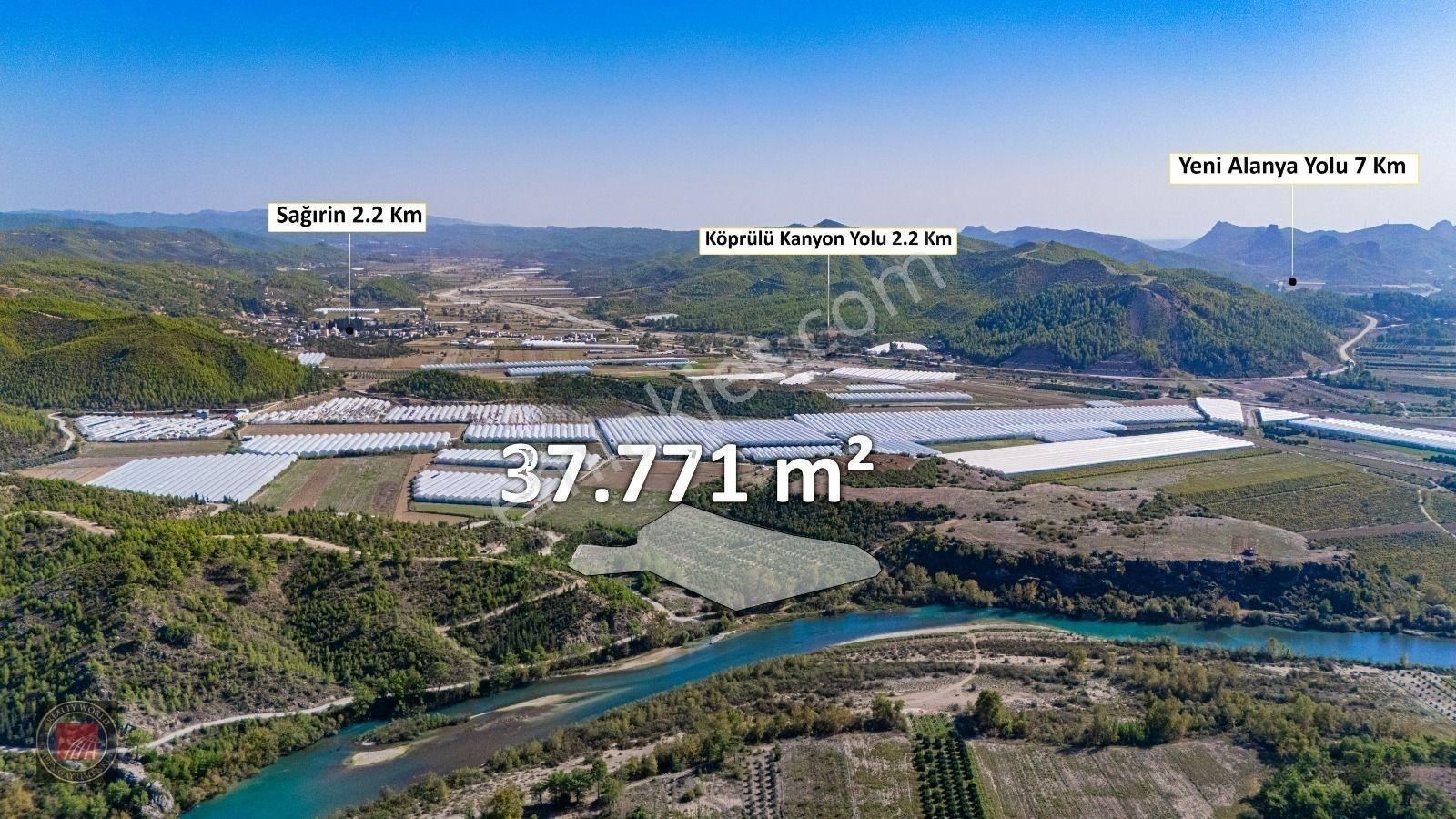 Sağırinde, Köprüçaya Cephe 38 Dönüm Satılık Avokado Bahçesi — fotoğraf 4