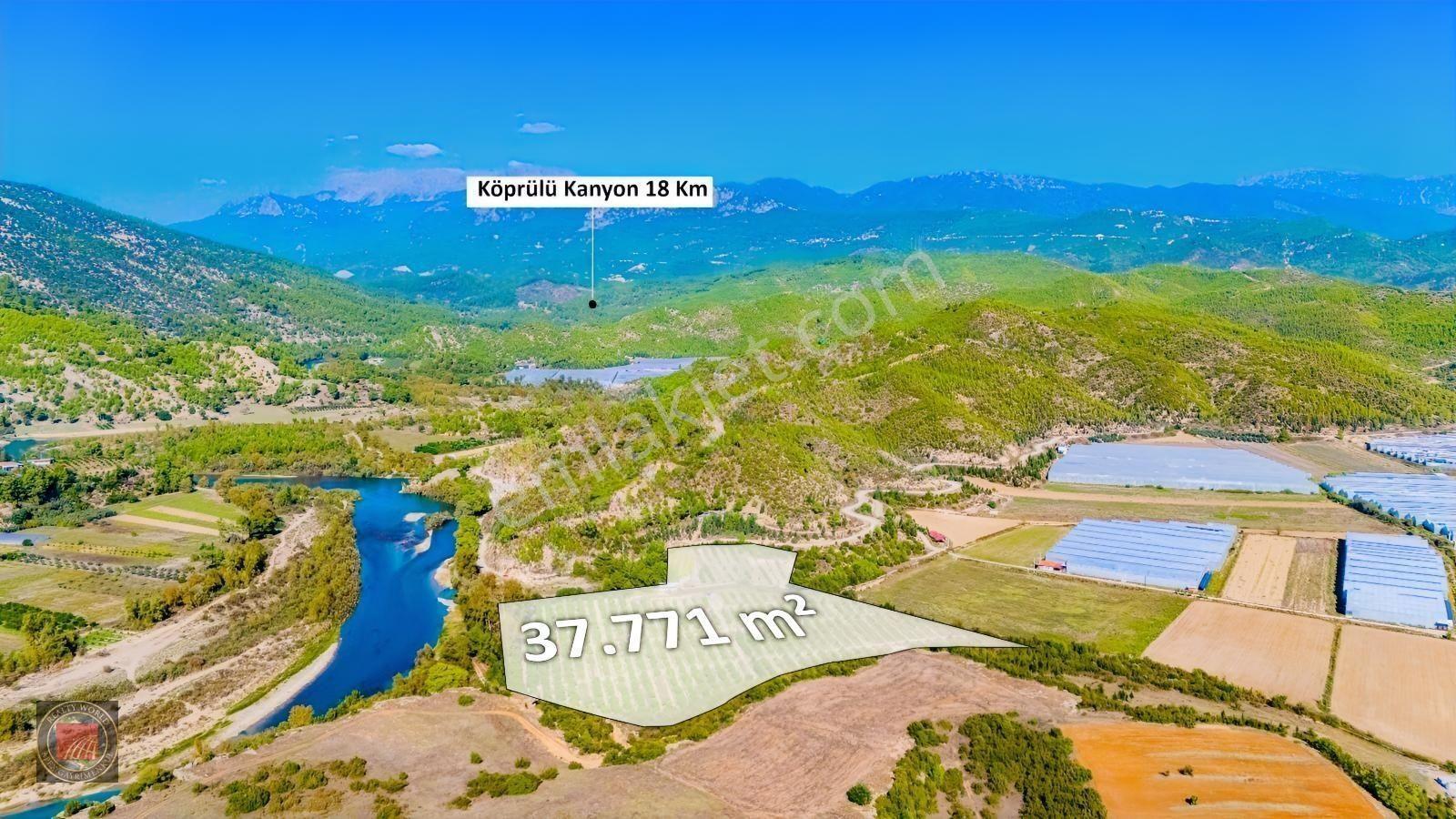 Sağırinde, Köprüçaya Cephe 38 Dönüm Satılık Avokado Bahçesi — fotoğraf 5