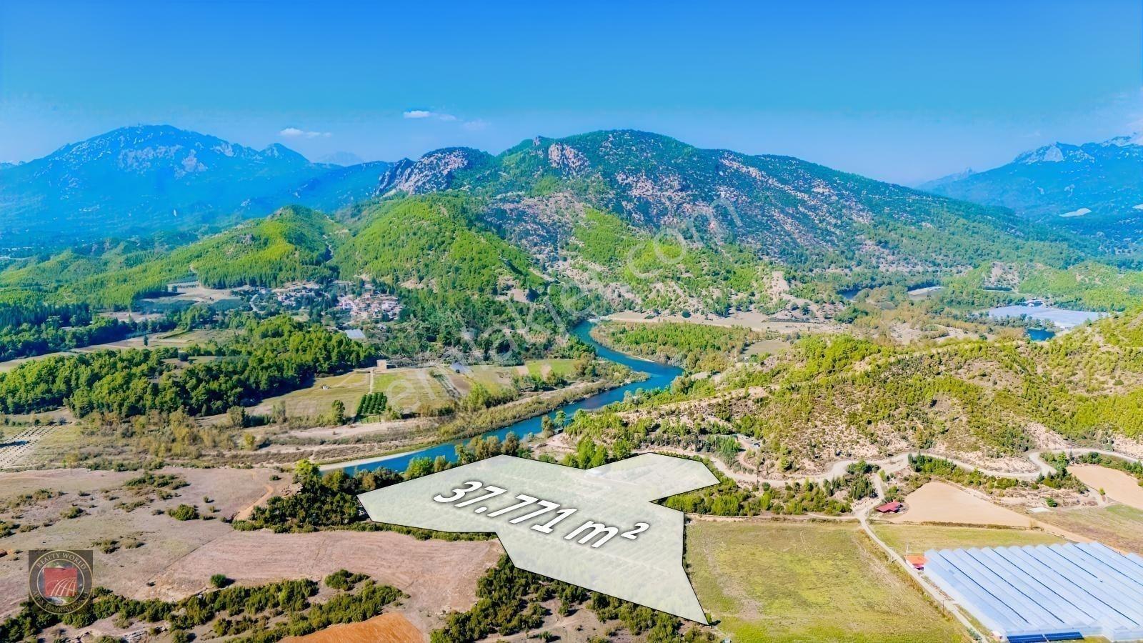 Sağırinde, Köprüçaya Cephe 38 Dönüm Satılık Avokado Bahçesi — fotoğraf 9