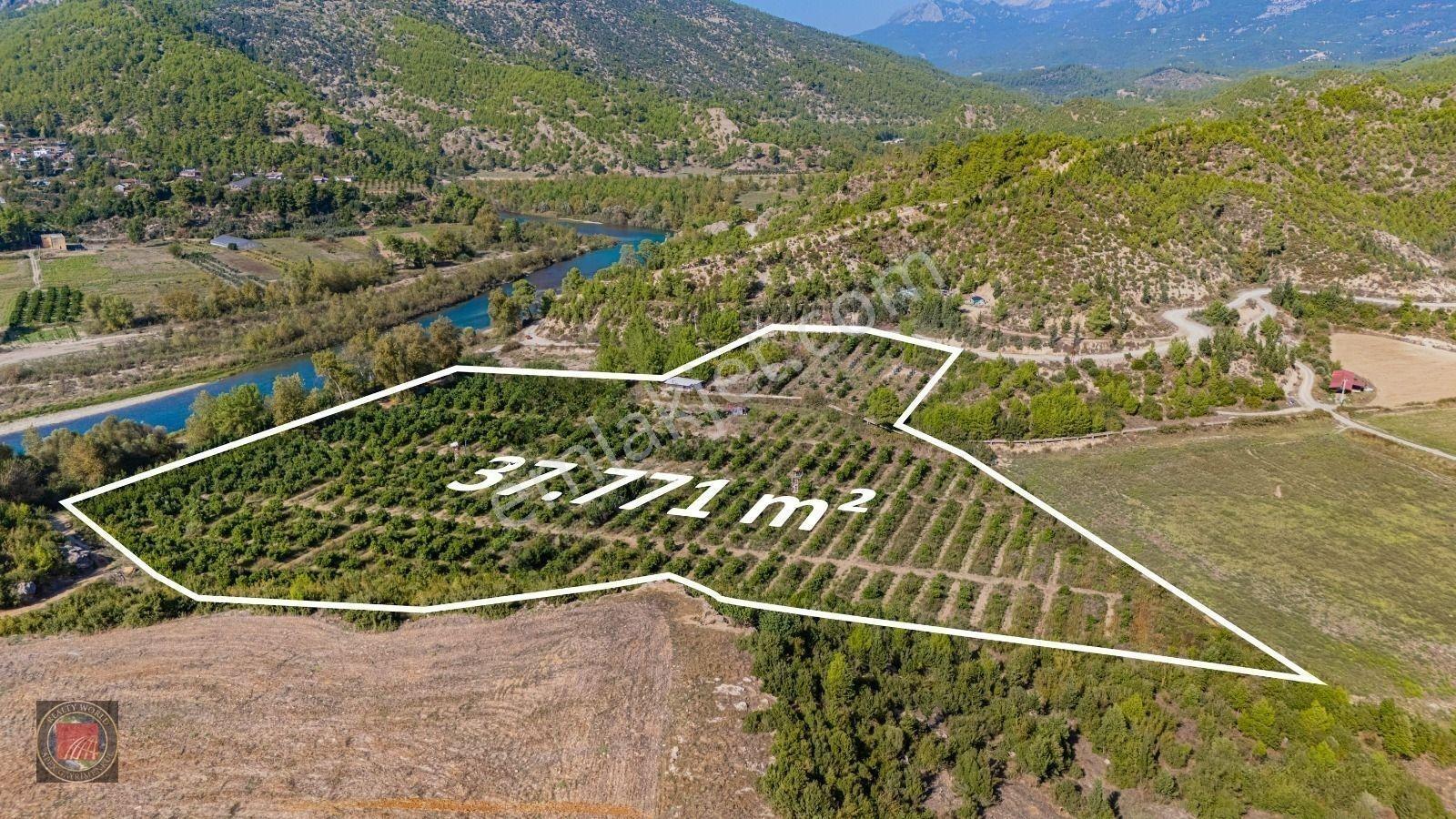Sağırinde, Köprüçaya Cephe 38 Dönüm Satılık Avokado Bahçesi — fotoğraf 14