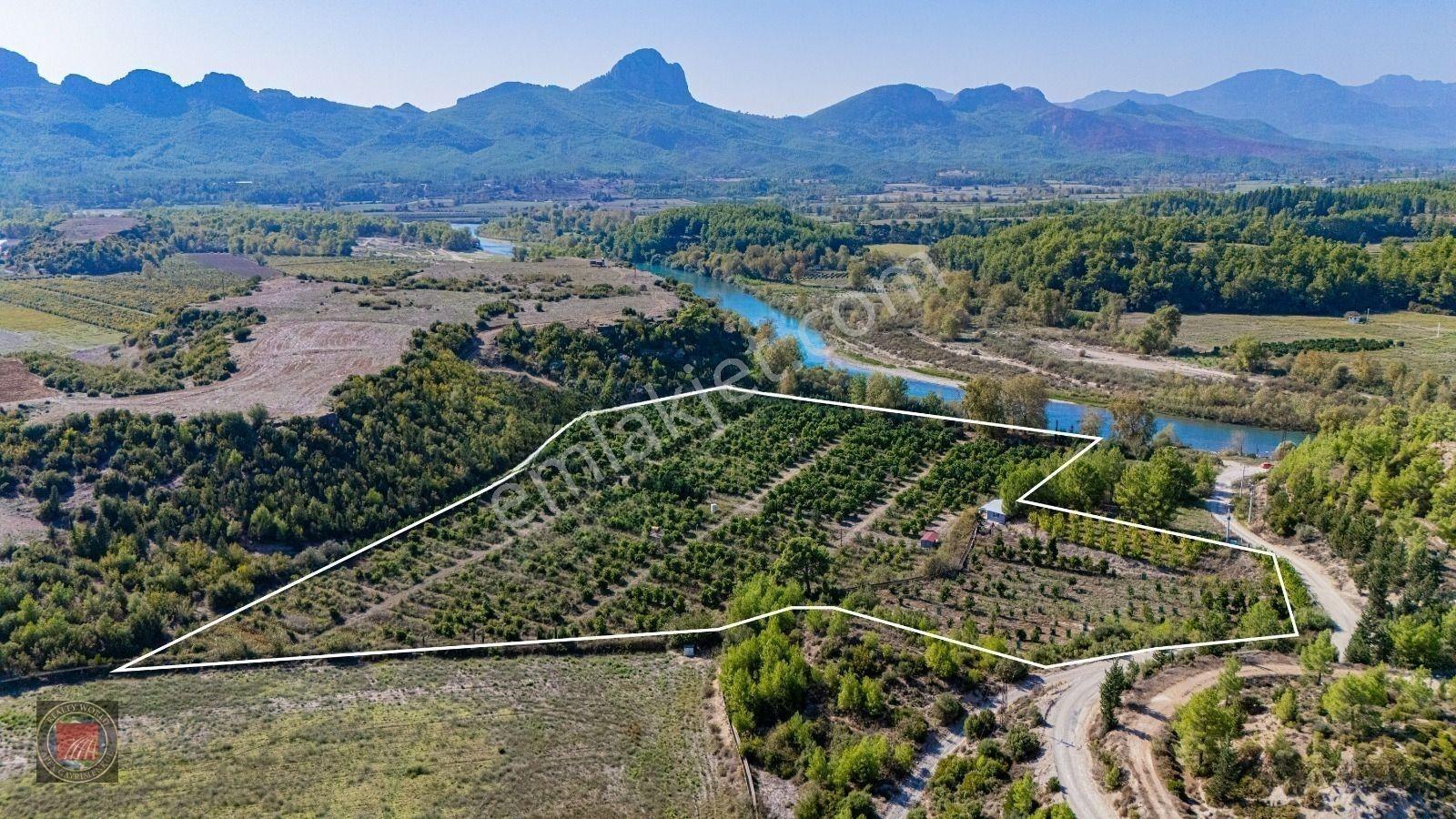 Sağırinde, Köprüçaya Cephe 38 Dönüm Satılık Avokado Bahçesi — fotoğraf 16
