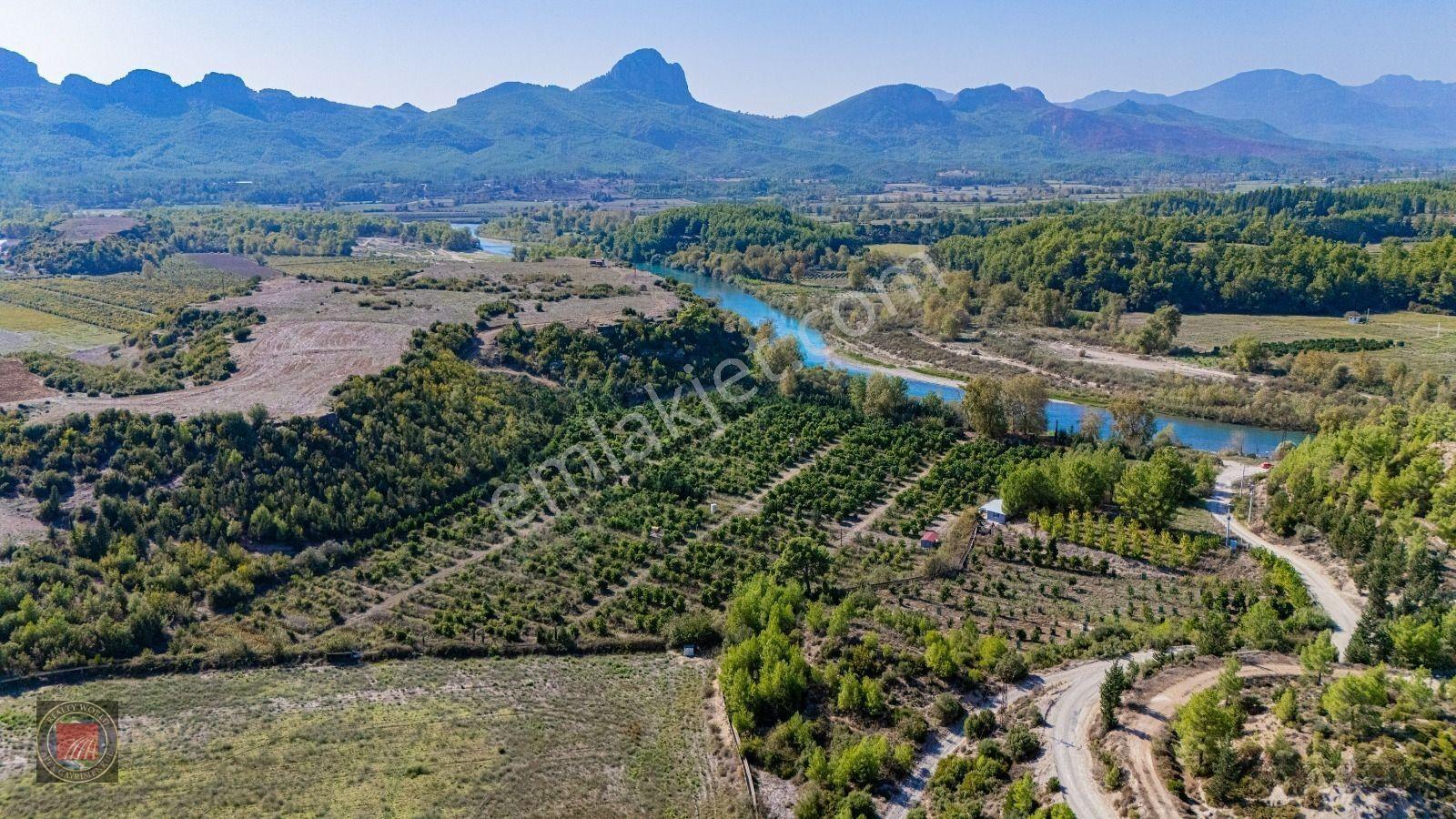 Sağırinde, Köprüçaya Cephe 38 Dönüm Satılık Avokado Bahçesi — fotoğraf 17