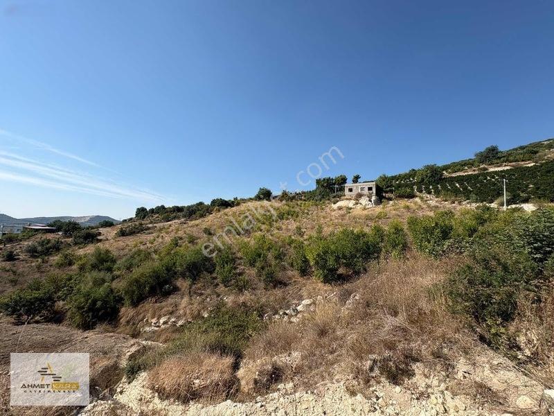 Ahmet Kara'dan Esenli'de 12500 M2 Bağ İçinde 90 M2 Betonarme Ev — fotoğraf 3