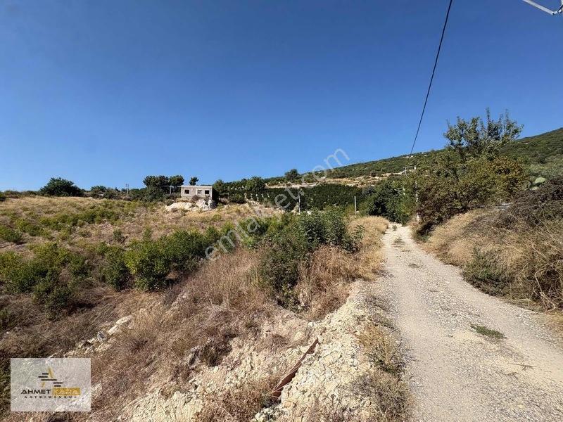 Ahmet Kara'dan Esenli'de 12500 M2 Bağ İçinde 90 M2 Betonarme Ev — fotoğraf 4