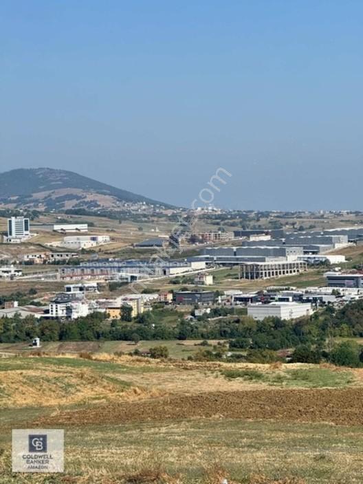 Uzgurda 30 Metre Bulvara Cephe 4.225 M² Yatırımlık Tarla