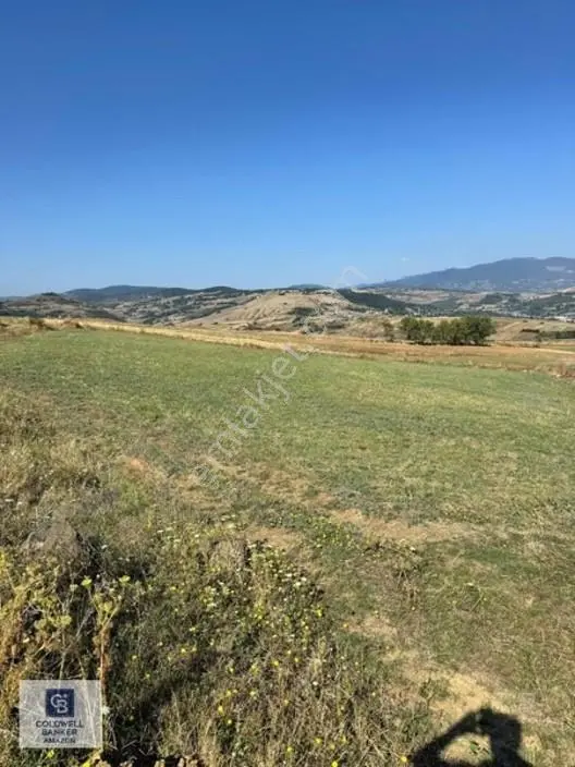 Uzgurda 30 Metre Bulvara Cephe 4.225 M² Yatırımlık Tarla — fotoğraf 2