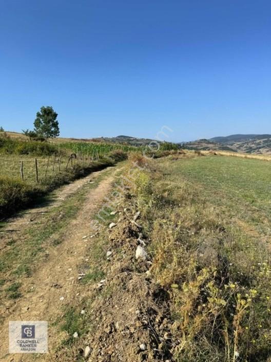 Uzgurda 30 Metre Bulvara Cephe 4.225 M² Yatırımlık Tarla — fotoğraf 3