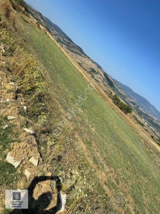 Uzgurda 30 Metre Bulvara Cephe 4.225 M² Yatırımlık Tarla — fotoğraf 4
