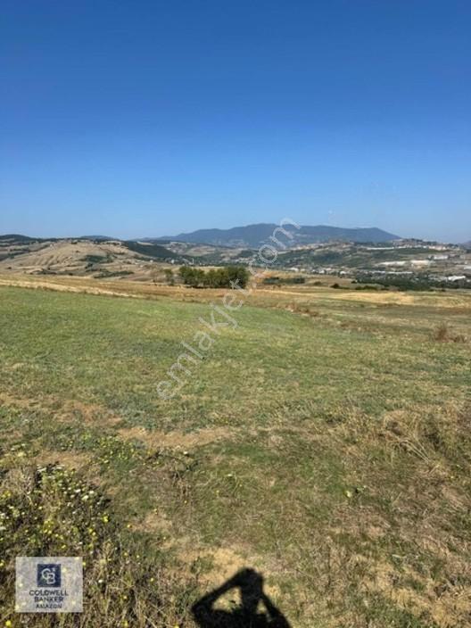 Uzgurda 30 Metre Bulvara Cephe 4.225 M² Yatırımlık Tarla — fotoğraf 5