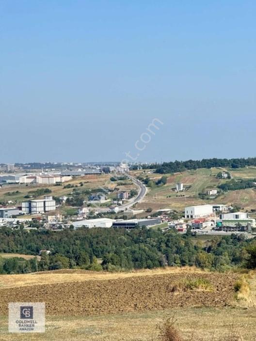 Uzgurda 30 Metre Bulvara Cephe 4.225 M² Yatırımlık Tarla — fotoğraf 6