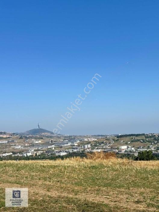 Uzgurda 30 Metre Bulvara Cephe 4.225 M² Yatırımlık Tarla — fotoğraf 8