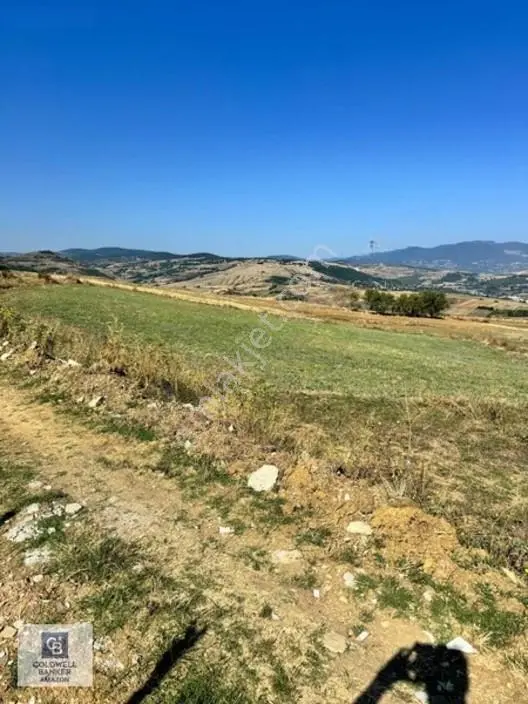 Uzgurda 30 Metre Bulvara Cephe 4.225 M² Yatırımlık Tarla — fotoğraf 9