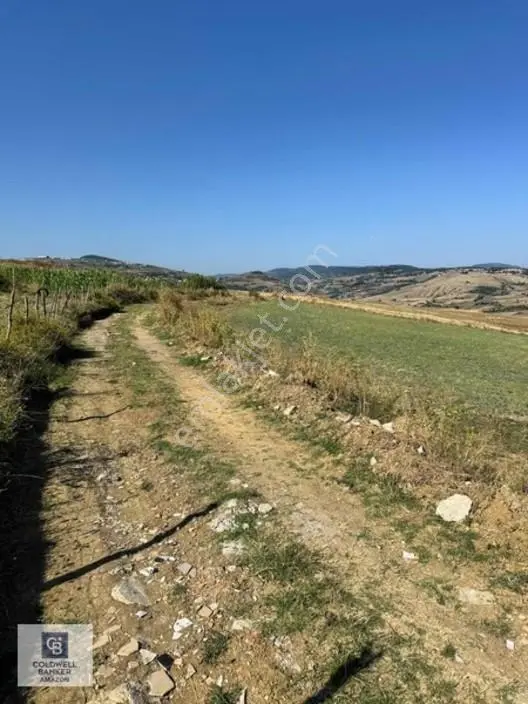 Uzgurda 30 Metre Bulvara Cephe 4.225 M² Yatırımlık Tarla — fotoğraf 10