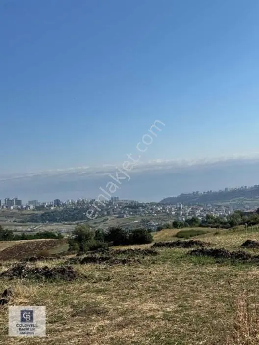 Uzgurda 30 Metre Bulvara Cephe 4.225 M² Yatırımlık Tarla — fotoğraf 12