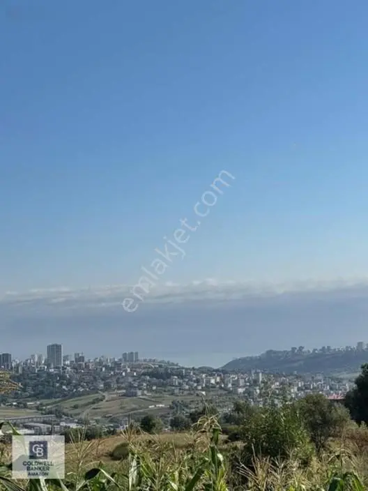 Uzgurda 30 Metre Bulvara Cephe 4.225 M² Yatırımlık Tarla — fotoğraf 13
