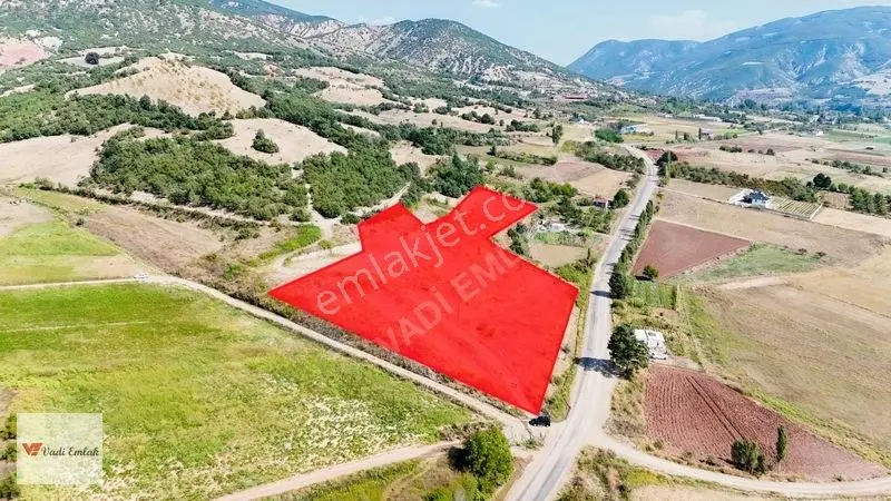 Yazıbaşı'nda Satılık 9.933 M² | Vadi Emlak — fotoğraf 3