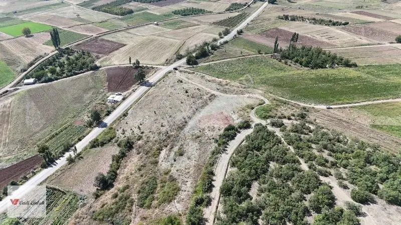 Yazıbaşı'nda Satılık 9.933 M² | Vadi Emlak — fotoğraf 17