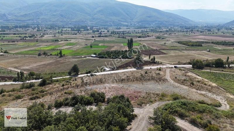 Yazıbaşı'nda Satılık 9.933 M² | Vadi Emlak — fotoğraf 21