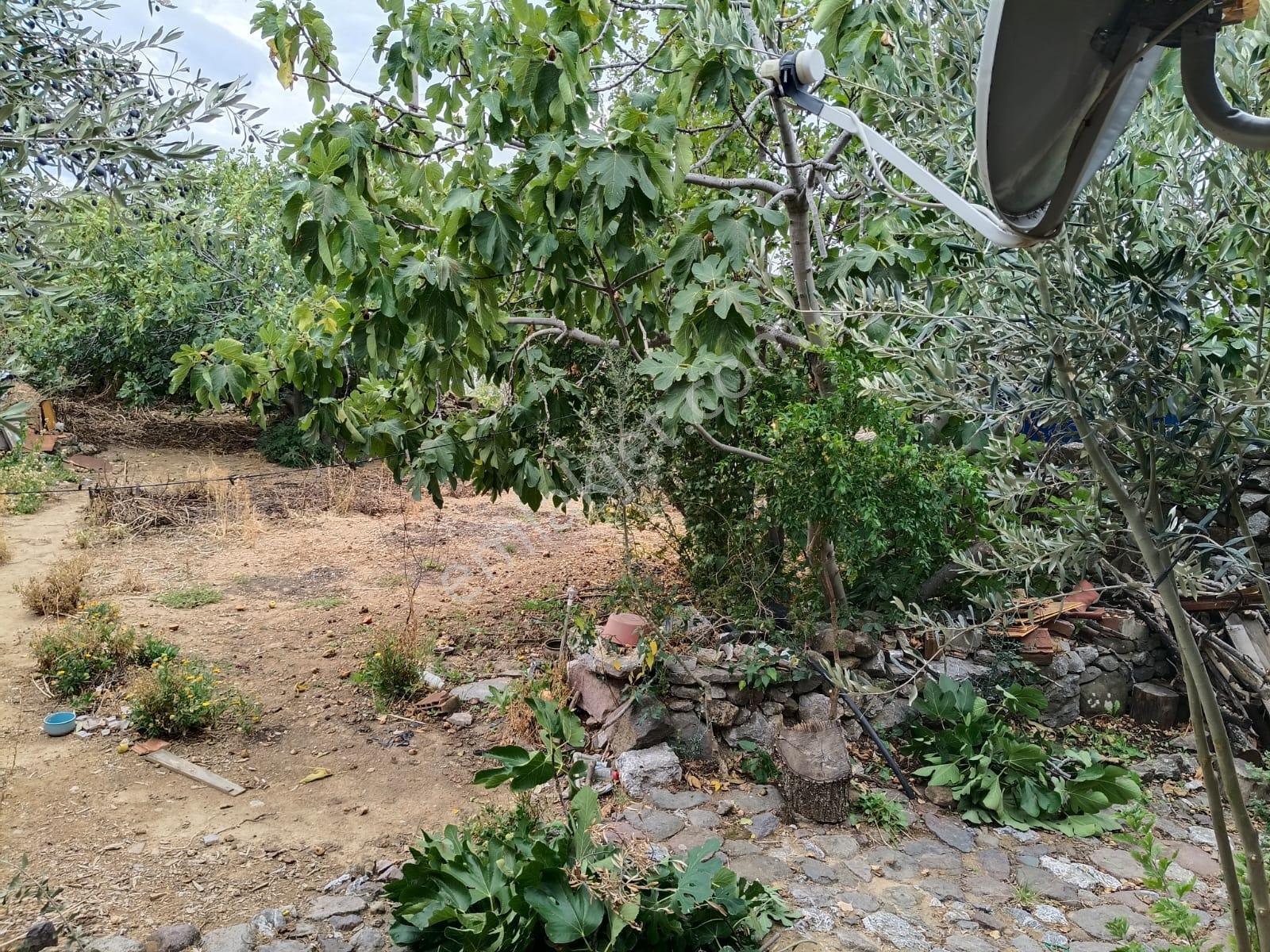 Çamoba Merkezde 494 M2 Müstakil Ev — fotoğraf 9