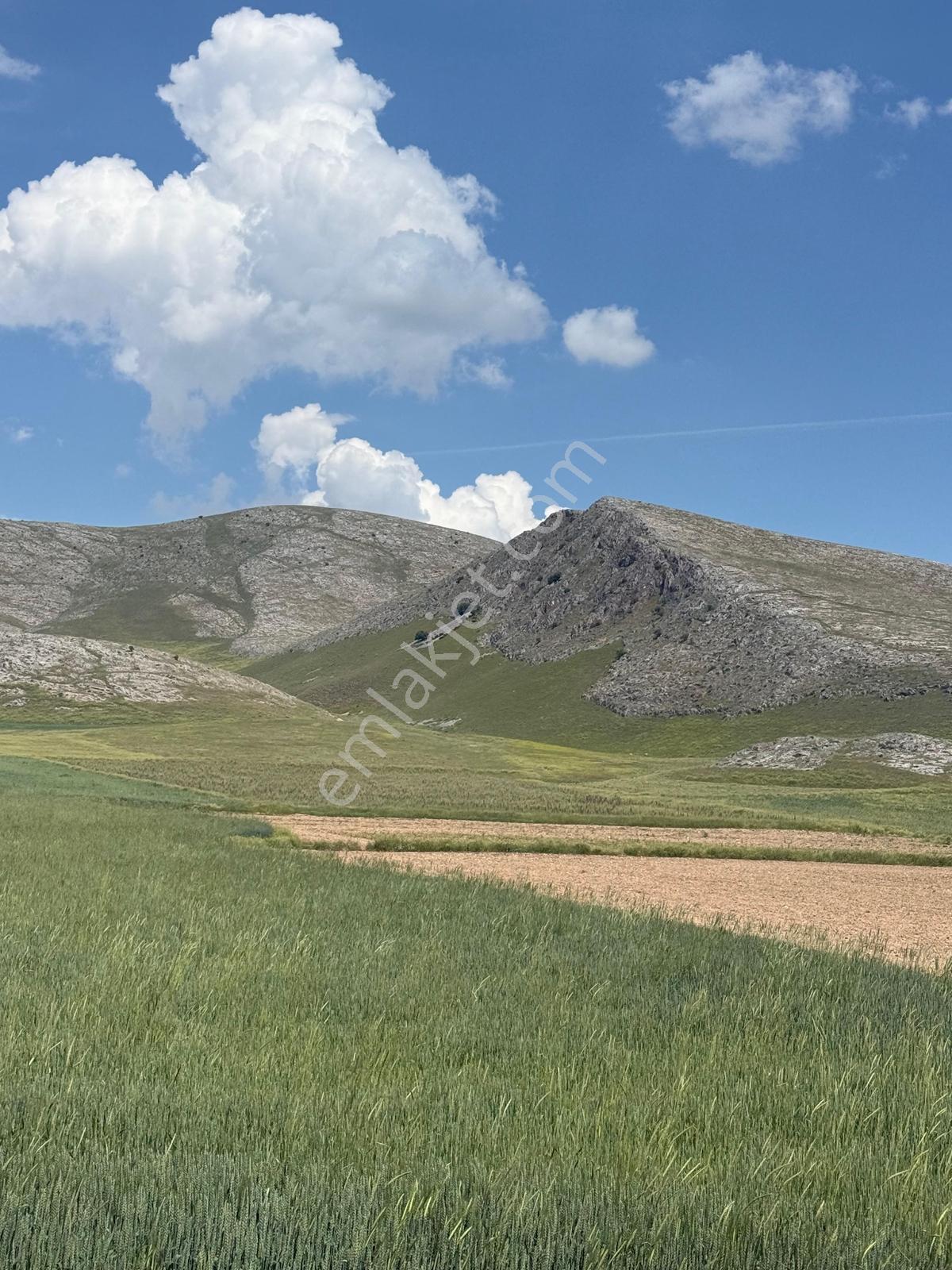 Acil...sultandağı-yeşilçiftlik Bölgesi 22.670m² Ekilebilir Arazi — fotoğraf 5