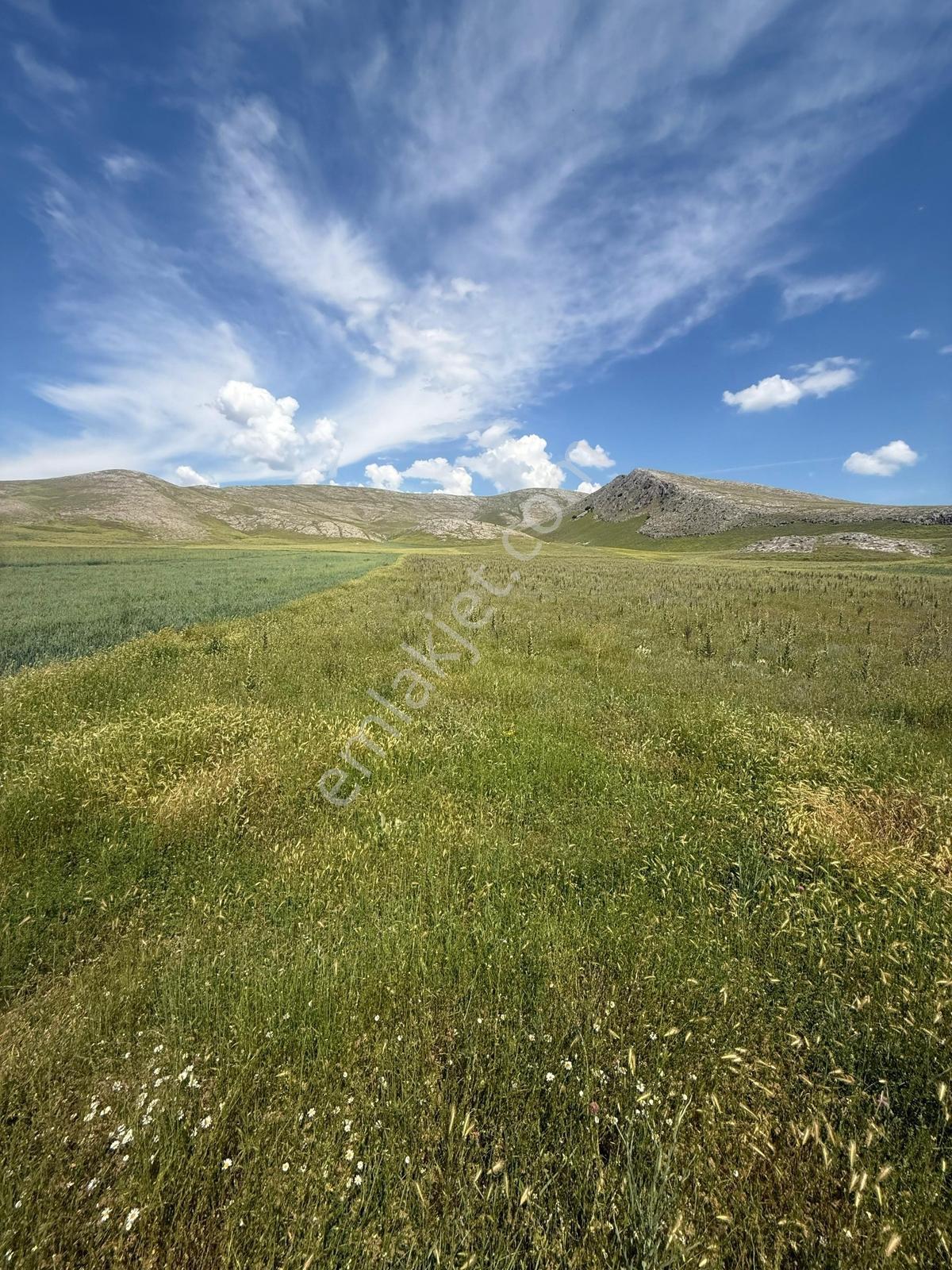 Acil...sultandağı-yeşilçiftlik Bölgesi 22.670m² Ekilebilir Arazi — fotoğraf 6