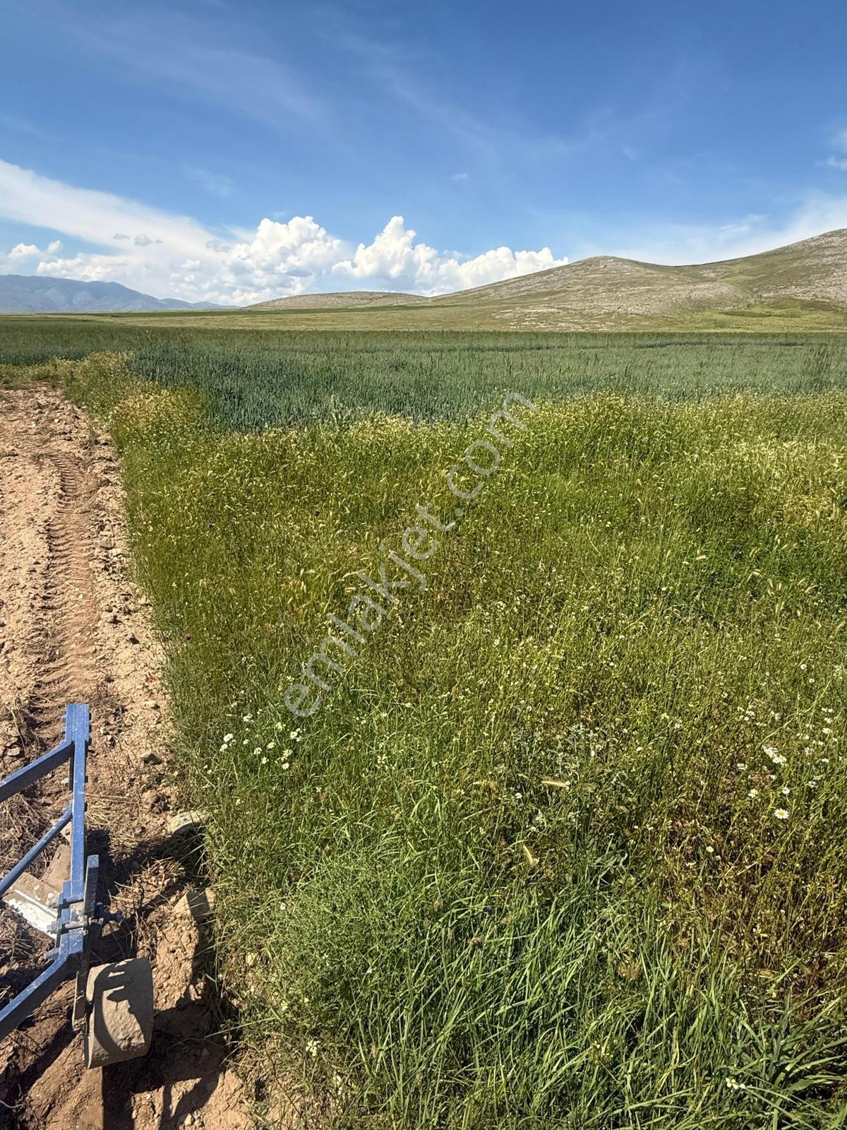 Acil...sultandağı-yeşilçiftlik Bölgesi 22.670m² Ekilebilir Arazi — fotoğraf 8