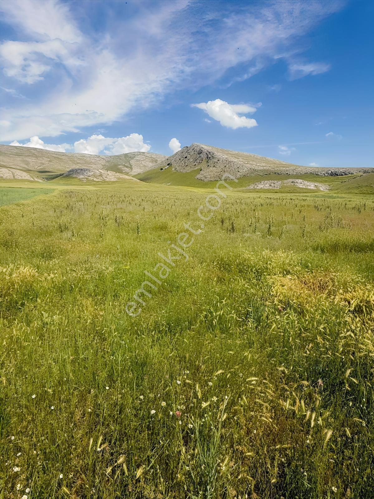 Acil...sultandağı-yeşilçiftlik Bölgesi 22.670m² Ekilebilir Arazi — fotoğraf 9