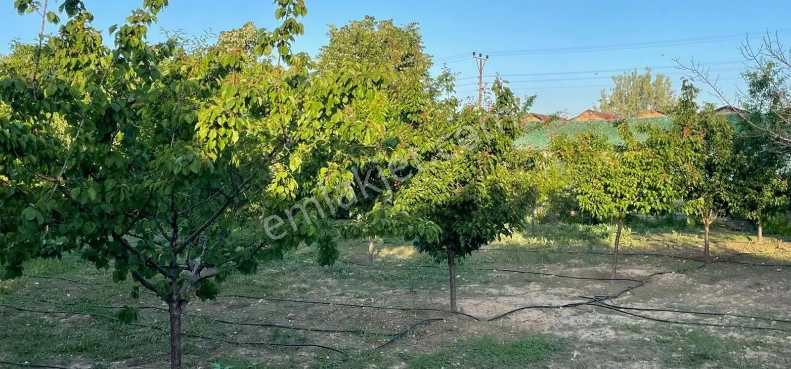Selçuklu Çaltı'Da 1080 M2 İçersinde Evi 0Lan Satılık Arsa
