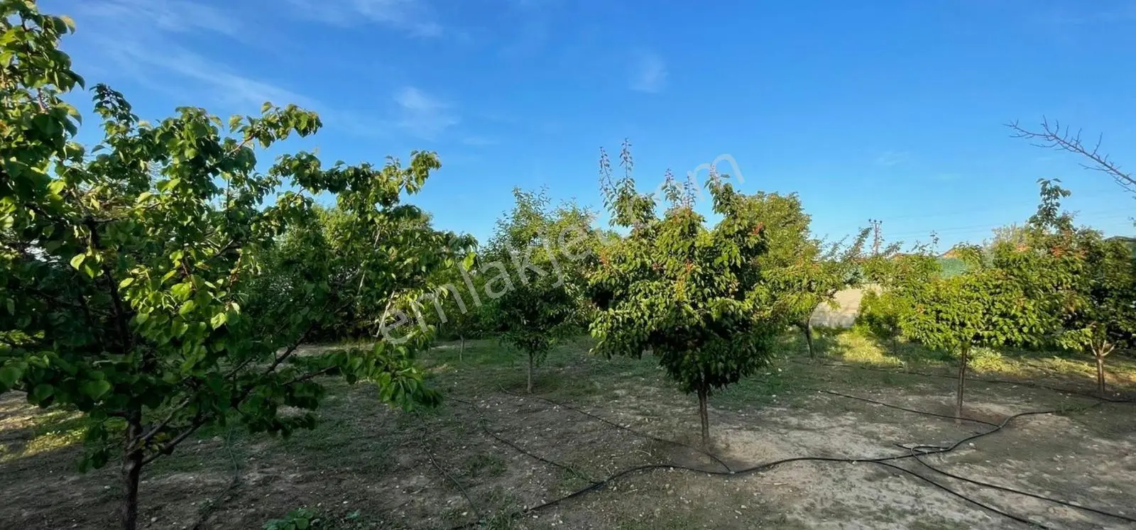 Selçuklu Çaltı'da 1080 M2 İçersinde Evi 0lan Satılık Arsa — fotoğraf 2